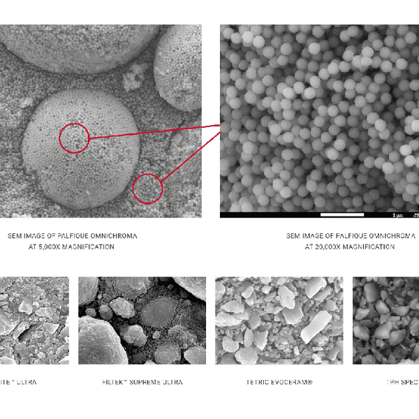 Resina Composite Palfique Omnichroma Tokuyama (1)