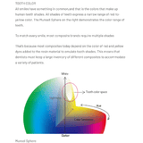 Resina Composite Palfique Omnichroma Tokuyama